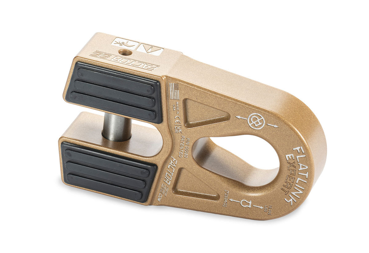 FACTOR 55 FlatLink E (Expert)